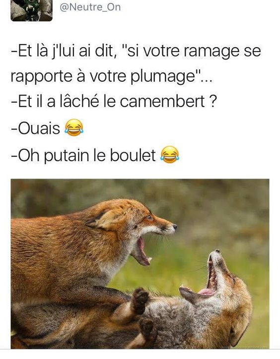 HUMOUR - blagues - Page 10 39bf3210