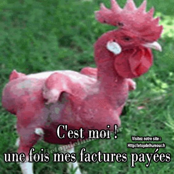 HUMOUR - blagues - Page 10 3ce46f10