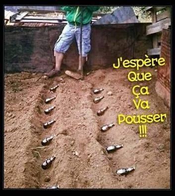 HUMOUR - blagues - Page 8 6bf50f10