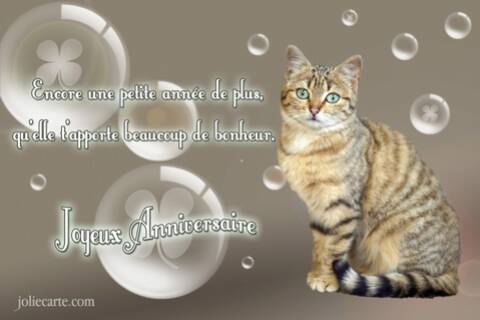 Joyeux Anniversaire Sylvie Joyeux Anniversaire Sylvie