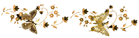 s3810.gif