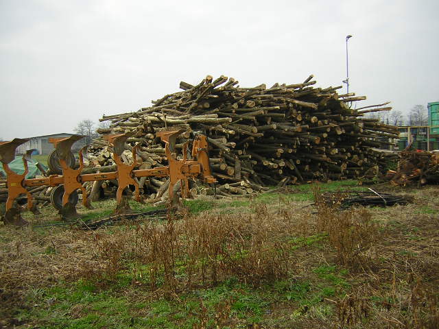 prezzi legna da ardere - Pagina 9 Dscn0320