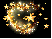 Star Gazer Star Gazer