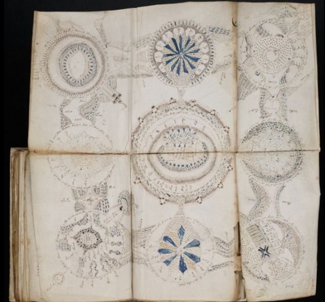 [Littérature - Mystère] La feuille Rosette du Manuscrit de Voynich Ww06310