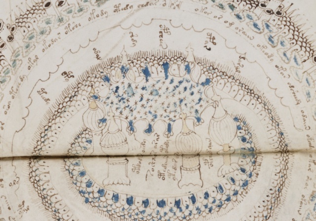 [Littérature - Mystère] La feuille Rosette du Manuscrit de Voynich - Page 2 Ww09110
