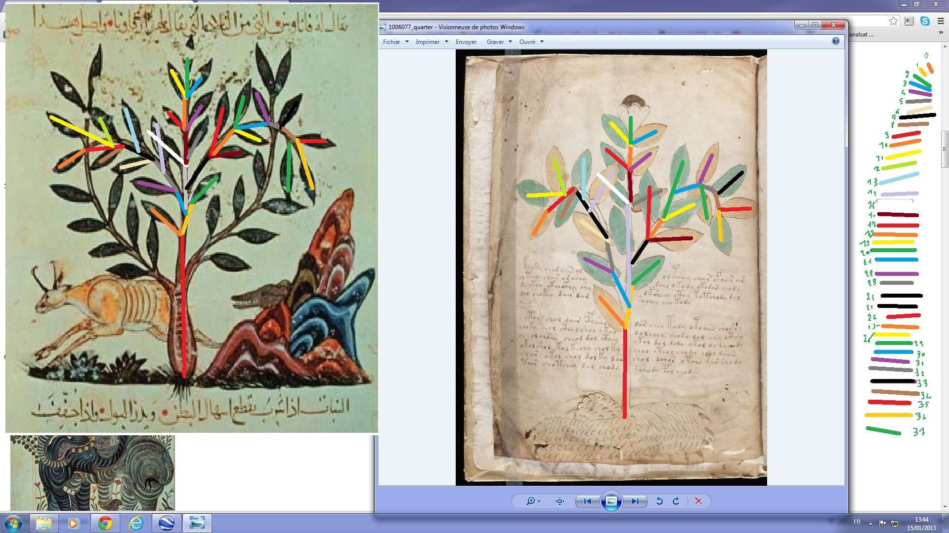 [Littérature - Mystère] La feuille Rosette du Manuscrit de Voynich - Page 3 Ww09910