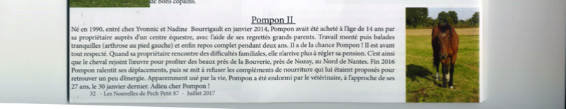 POMPON - ONC selle né en 1990 - accueilli chez Pech-Petit en décembre 2013 Pompon10