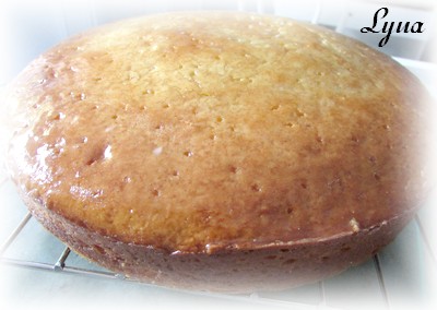 Gâteau au yogourt grec et crème sûre Gateau12