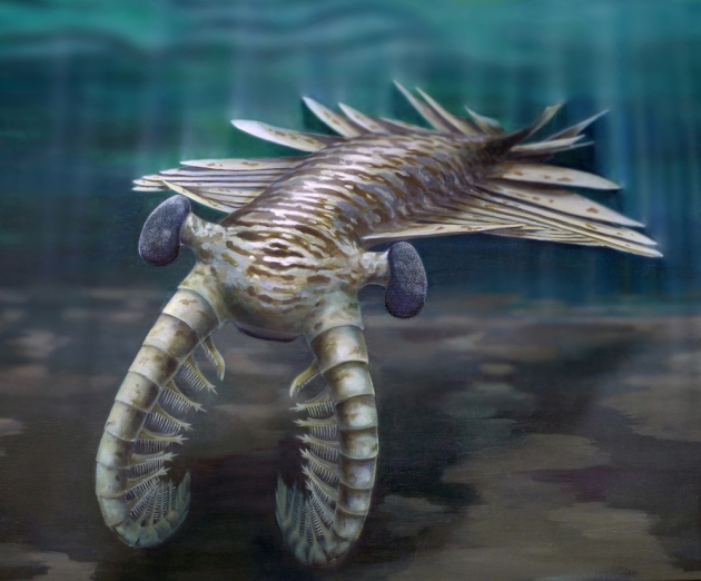 Anomalocaris another Science-fiction like creature Anomal18