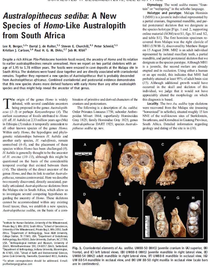The origin of Homo Sapiens & timeline of human evolution Austra16