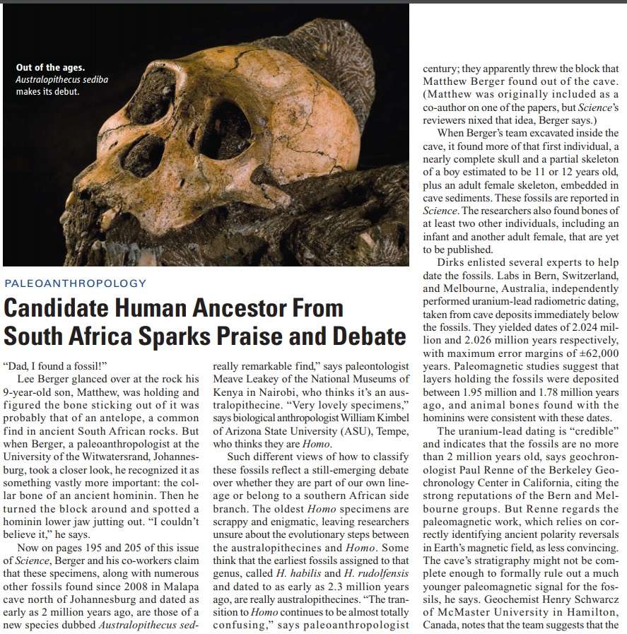 The origin of Homo Sapiens & timeline of human evolution Austra19