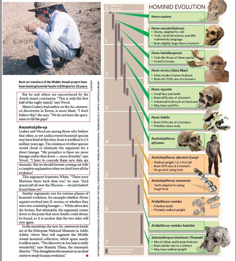 The origin of Homo Sapiens & timeline of human evolution Austra22