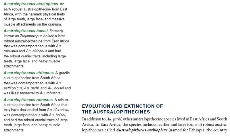 The origin of Homo Sapiens & timeline of human evolution Austra33