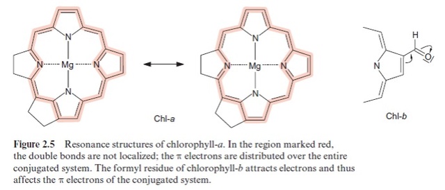Photosynthesis Chloro14
