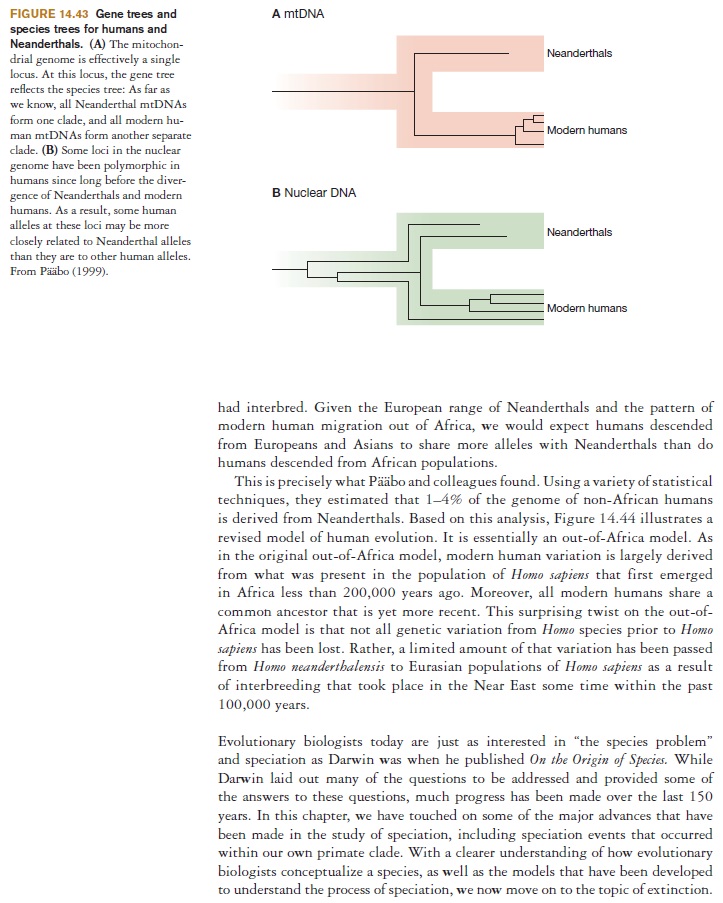 The origin of Homo Sapiens & timeline of human evolution Evolut12