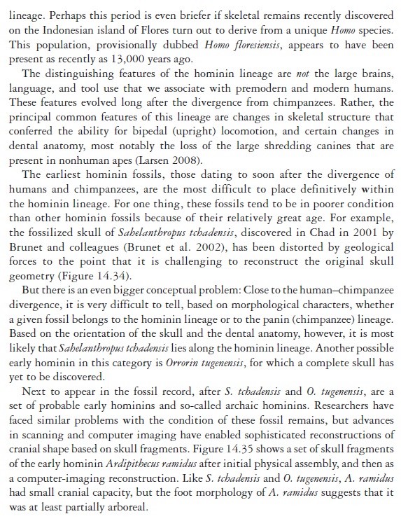 The origin of Homo Sapiens & timeline of human evolution Evolut18