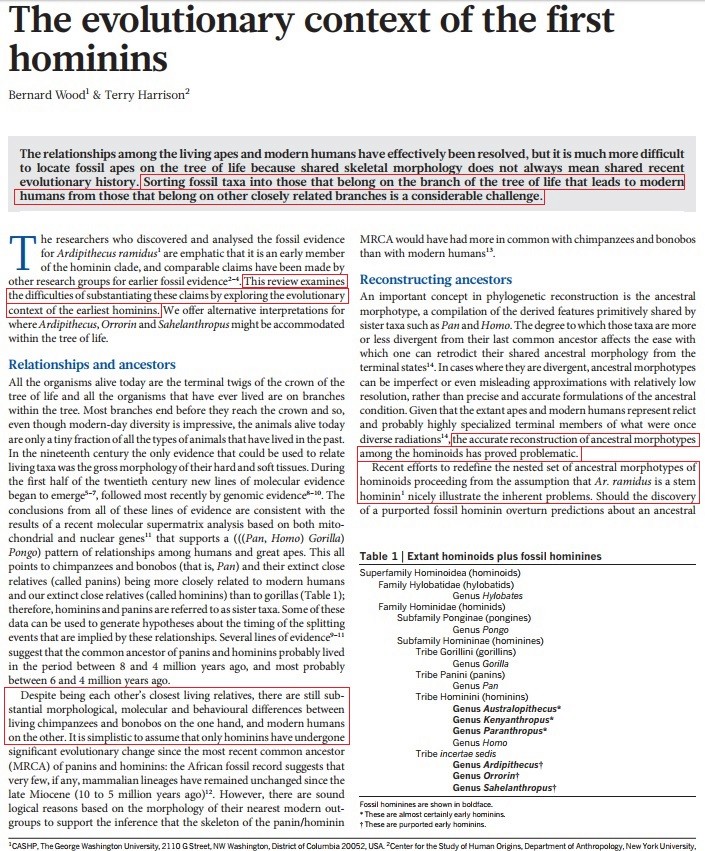 The origin of Homo Sapiens & timeline of human evolution Homini14