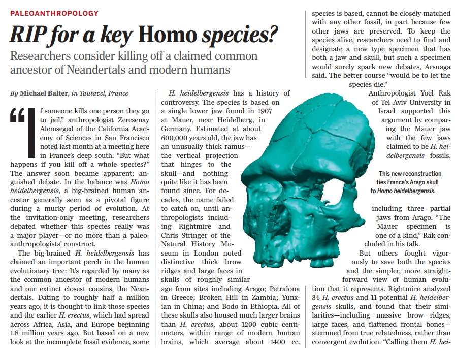 The origin of Homo Sapiens & timeline of human evolution Homo_h21