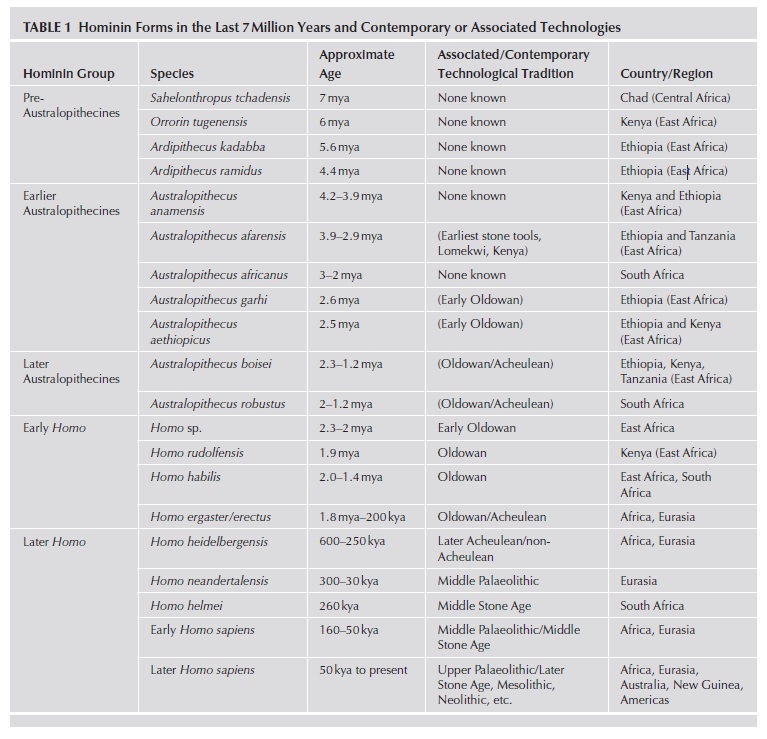 The origin of Homo Sapiens & timeline of human evolution Homo_h23