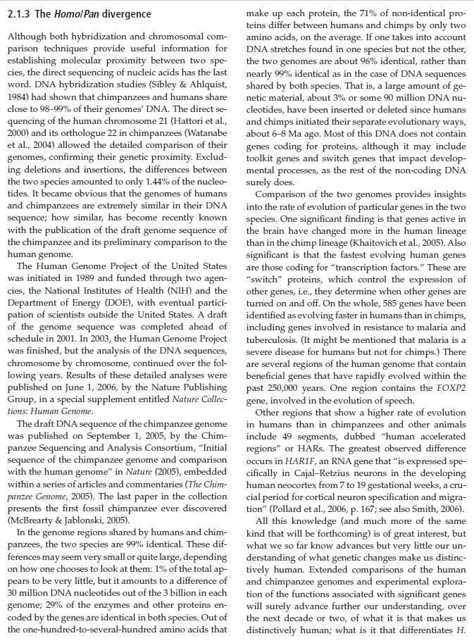 The origin of Homo Sapiens & timeline of human evolution Homo_p11