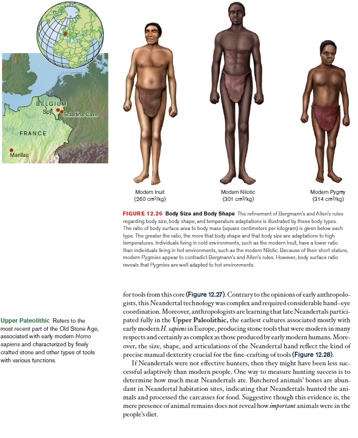 The origin of Homo Sapiens & timeline of human evolution Neande10