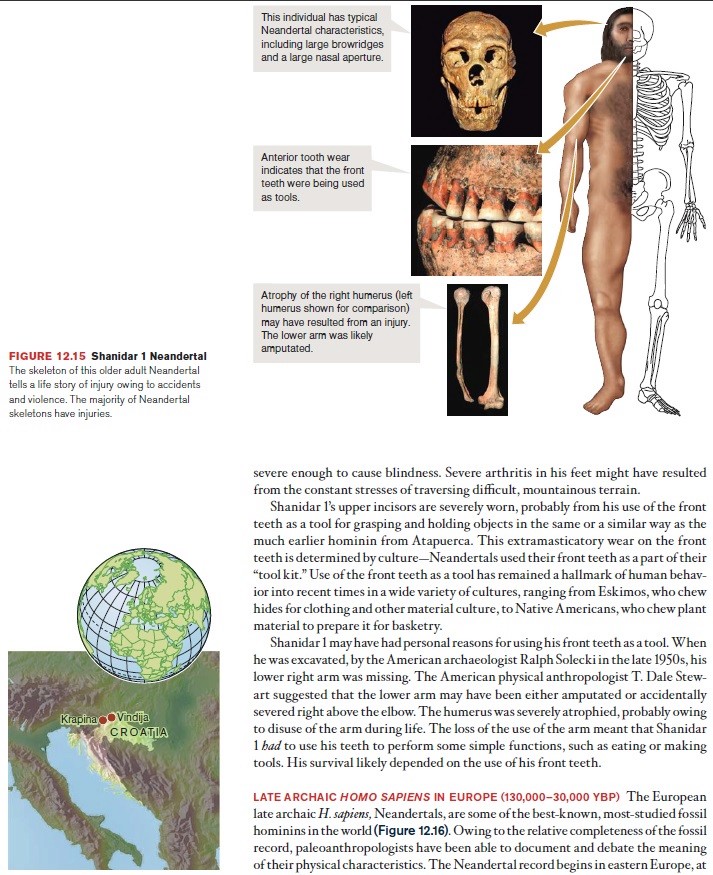 The origin of Homo Sapiens & timeline of human evolution Neande17