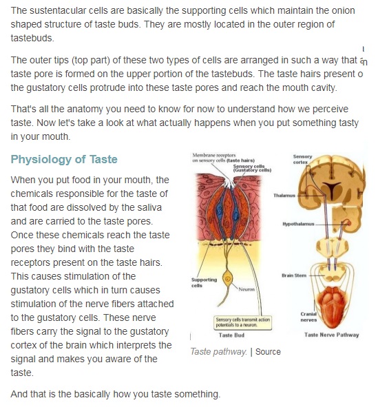The tongue - evidence of intelligent design Olfact14