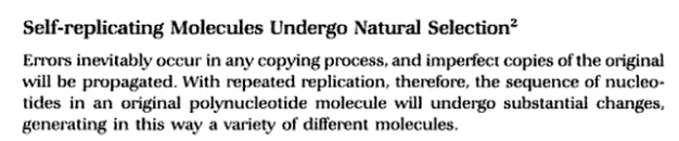 Abiogenesis: The possible mechanisms to explain the origin of life Self_r10