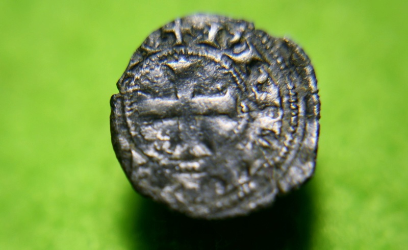Philippe VI, pite tournois. Img_1412