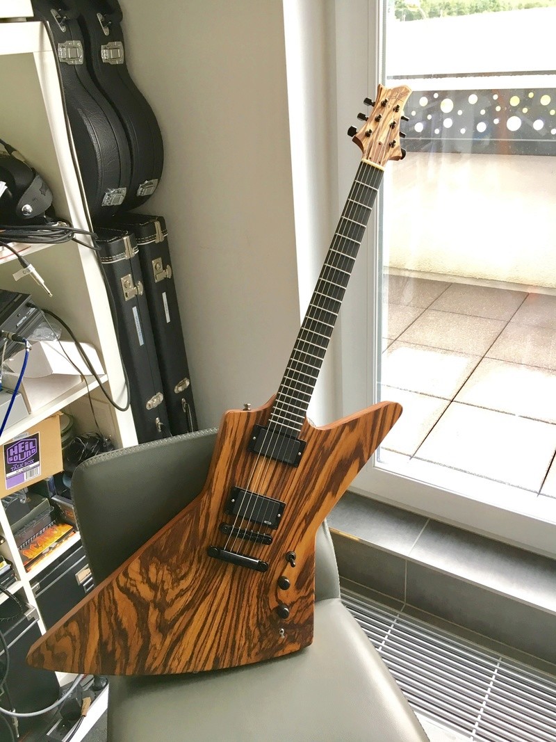 Springer Explorer Custom - Zebrawood Img_0710