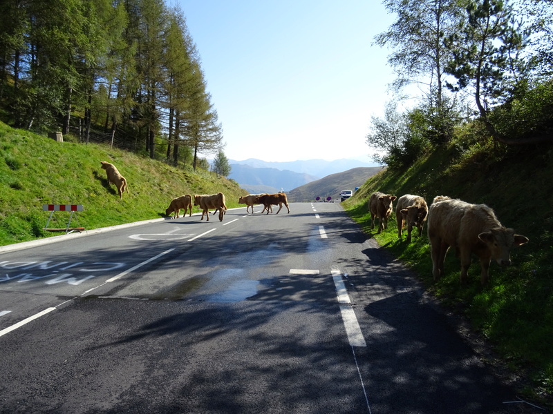 Séjour Pyrénée Col_de13