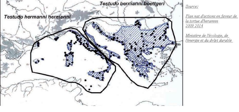 Evolution dans la taxonomie  Sans_t10