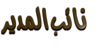 نائب المدير نائب المدير