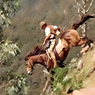 Over 50 Horse Friends