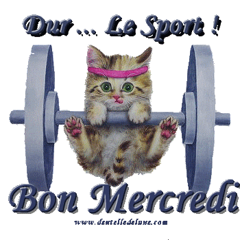Bonjour/bonsoir de Juillet B13d5210