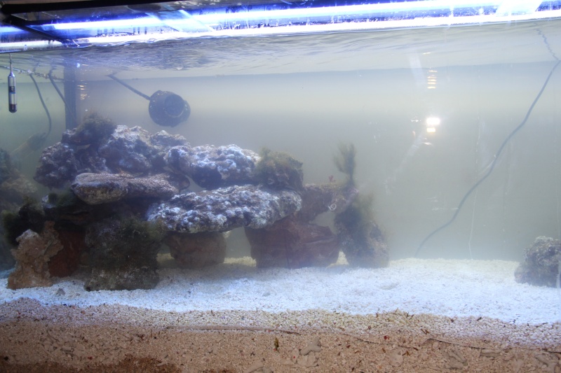 360 litres de fred Img_1512