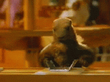 POUR LES FLATISTANAIS, POSSESSEURS DE BMW AVEC ABS - Page 3 Marmot10