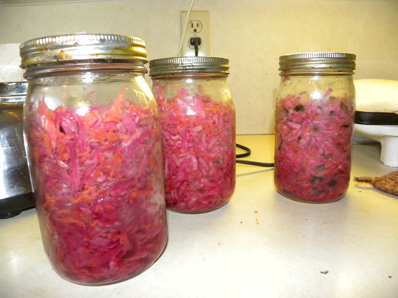 What do you know about making sauerkraut? - Page 3 2017-026