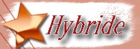 Hybride