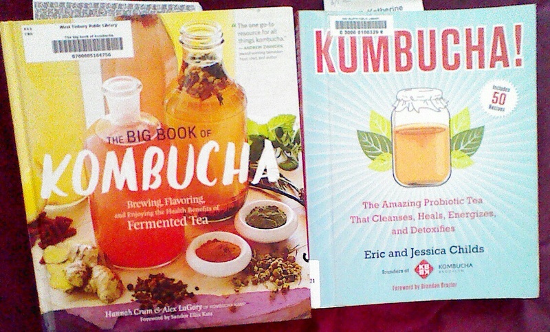 Kombucha - Page 2 Img_2013