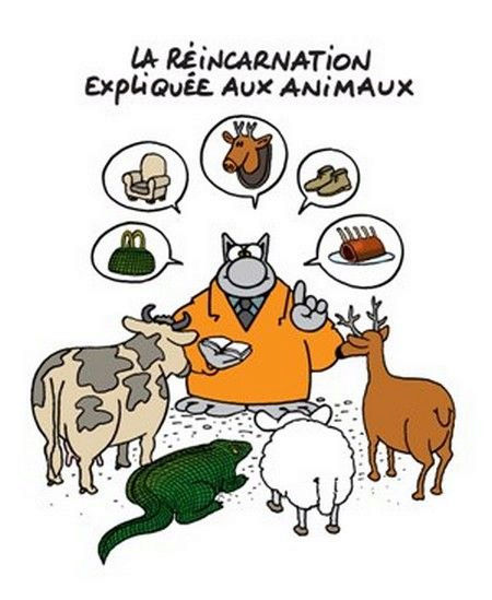 Le Chat de Geluck !!! - Page 3 Chatx10