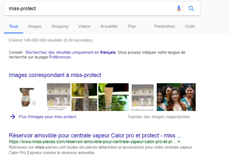 Recherche Google Captur10