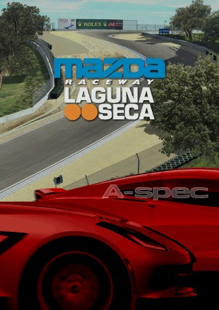 Mazda Raceway Laguna Seca TERMINE Defi_e11