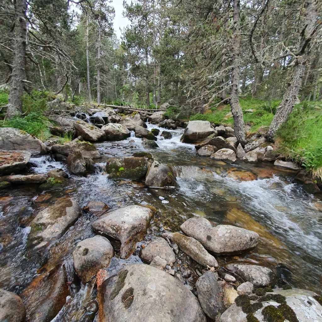 Concours photo du mois de février Img_2013