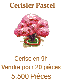 Cerisier / Cerisier Pastel => Cerise Sans_673