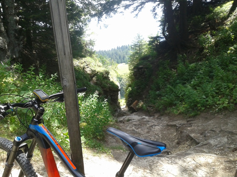 Sortie Vercors                  Descentes   bellecombe & cote du mas  20170814