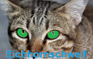 Wer macht mir einen Ava?????-Eichhorn Ava_ei10