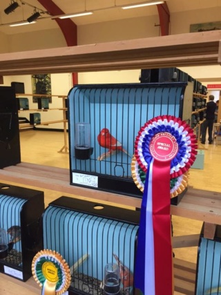 NE&C CCBA Zone show report - 2018 Ash_fo10
