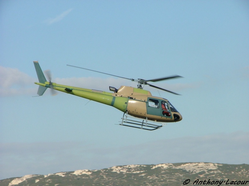 [Héliport de Berre La Fare] : Plateforme d'essais d'Eurocopter  - Page 5 Dscf0417