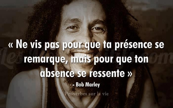 Stuff Expérience 67921511